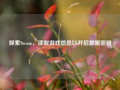 探索Steam，读取游戏信息以开启数据密钥