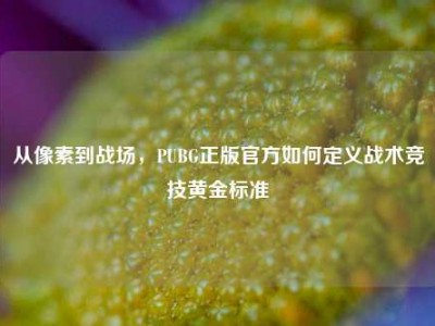 从像素到战场，PUBG正版官方如何定义战术竞技黄金标准