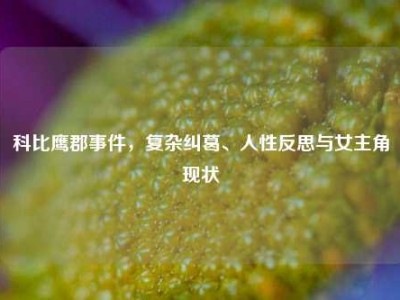 科比鹰郡事件，复杂纠葛、人性反思与女主角现状