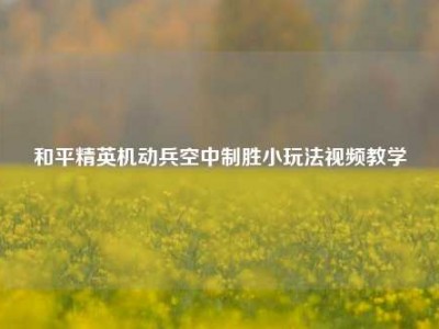 和平精英机动兵空中制胜小玩法视频教学