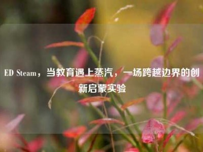 ED Steam，当教育遇上蒸汽，一场跨越边界的创新启蒙实验