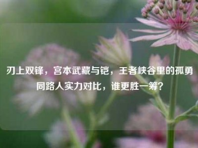刃上双锋，宫本武藏与铠，王者峡谷里的孤勇同路人实力对比，谁更胜一筹？