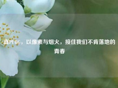 真PUBG，以像素与烟火，接住我们不肯落地的青春