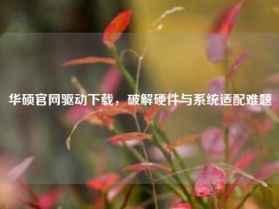 华硕官网驱动下载，破解硬件与系统适配难题