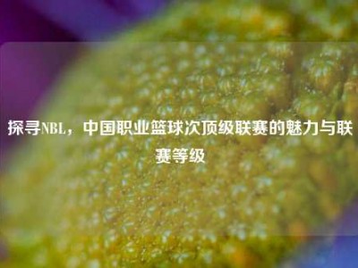 探寻NBL，中国职业篮球次顶级联赛的魅力与联赛等级