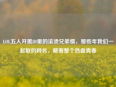LOL五人开黑ID里的滚烫兄弟情，那些年我们一起取的网名，藏着整个热血青春