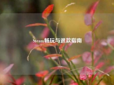 Steam畅玩与退款指南