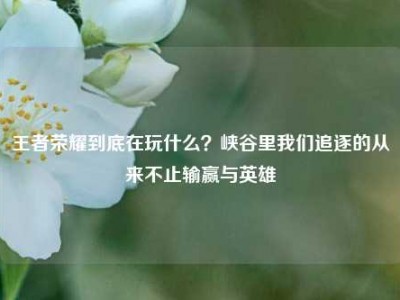 王者荣耀到底在玩什么？峡谷里我们追逐的从来不止输赢与英雄
