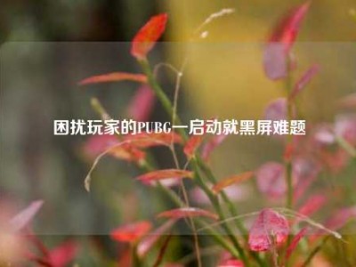困扰玩家的PUBG一启动就黑屏难题