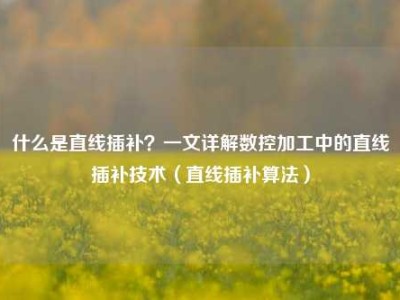 什么是直线插补？一文详解数控加工中的直线插补技术（直线插补算法）