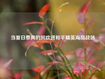 当夏日祭典的风吹进和平精英海岛战场