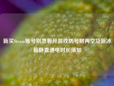 新买Steam账号别急着开游戏防号财两空及新冰箱静置通电时长须知