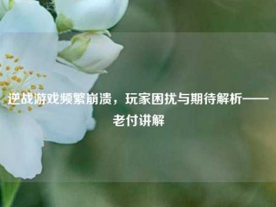 逆战游戏频繁崩溃，玩家困扰与期待解析——老付讲解