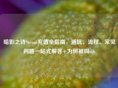 暗影之诗Steam充值全指南，避坑、流程、常见问题一站式解答+为何被叫szb