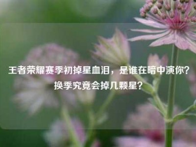 王者荣耀赛季初掉星血泪，是谁在暗中演你？换季究竟会掉几颗星？