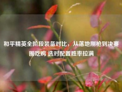 和平精英全阶段装备对比，从落地刚枪到决赛圈吃鸡 选对配置胜率拉满