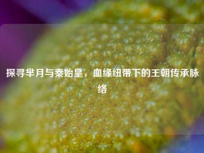 探寻芈月与秦始皇，血缘纽带下的王朝传承脉络