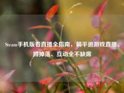 Steam手机版看直播全指南，躺平追游戏直播、蹲掉落、互动全不缺席