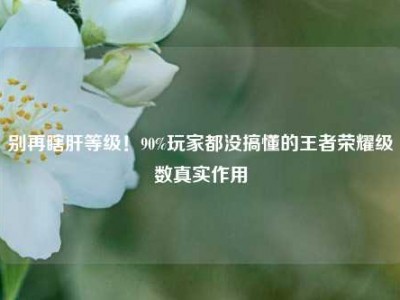 别再瞎肝等级！90%玩家都没搞懂的王者荣耀级数真实作用