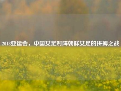 2018亚运会，中国女足对阵朝鲜女足的拼搏之战