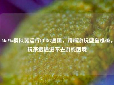 MuMu模拟器运行PUBG遇阻，跨端游玩壁垒难破，玩家遭遇进不去游戏困境