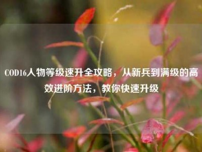 COD16人物等级速升全攻略，从新兵到满级的高效进阶方法，教你快速升级
