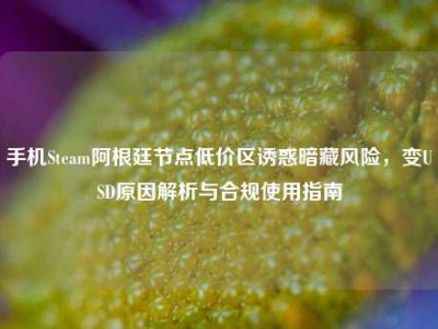 手机Steam阿根廷节点低价区诱惑暗藏风险，变USD原因解析与合规使用指南