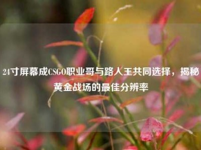 24寸屏幕成CSGO职业哥与路人王共同选择，揭秘黄金战场的最佳分辨率