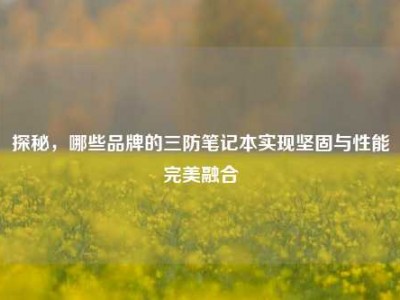 探秘，哪些品牌的三防笔记本实现坚固与性能完美融合