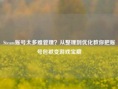 Steam账号太多难管理？从整理到优化教你把账号包袱变游戏宝藏