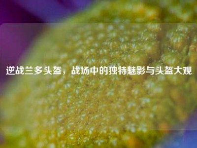 逆战兰多头盔，战场中的独特魅影与头盔大观