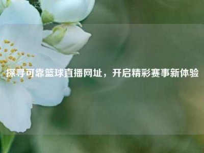 探寻可靠篮球直播网址，开启精彩赛事新体验