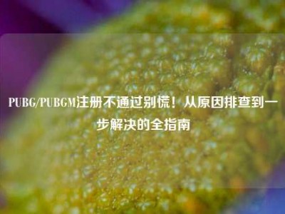 PUBG/PUBGM注册不通过别慌！从原因排查到一步解决的全指南