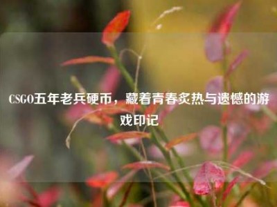 CSGO五年老兵硬币，藏着青春炙热与遗憾的游戏印记