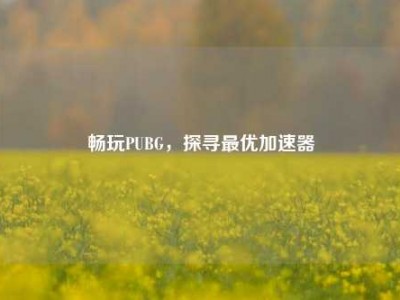 畅玩PUBG，探寻最优加速器