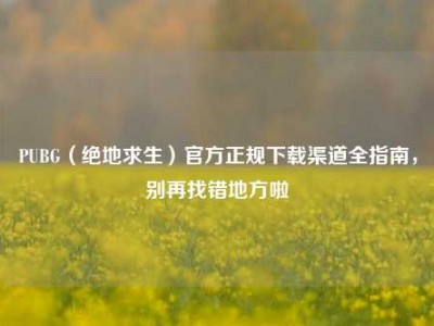 PUBG（绝地求生）官方正规下载渠道全指南，别再找错地方啦