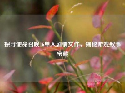 探寻使命召唤16单人剧情文件，揭秘游戏叙事宝藏