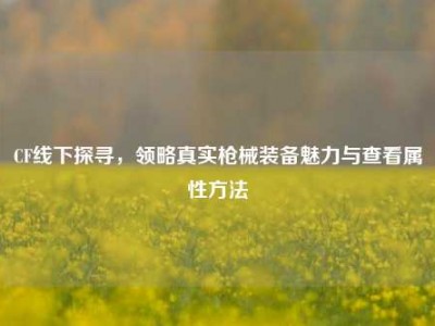 CF线下探寻，领略真实枪械装备魅力与查看属性方法