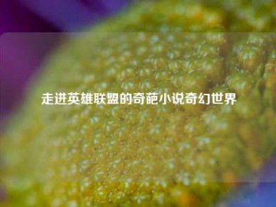 走进英雄联盟的奇葩小说奇幻世界