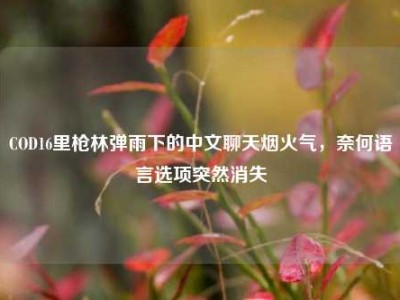 COD16里枪林弹雨下的中文聊天烟火气，奈何语言选项突然消失