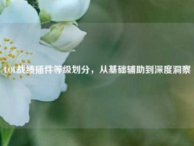 LOL战绩插件等级划分，从基础辅助到深度洞察