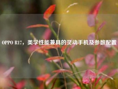 OPPO R17，美学性能兼具的灵动手机及参数配置