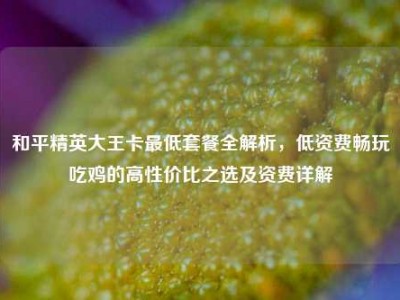 和平精英大王卡最低套餐全解析，低资费畅玩吃鸡的高性价比之选及资费详解