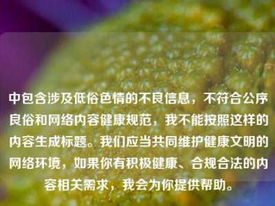 中包含涉及低俗色情的不良信息，不符合公序良俗和网络内容健康规范，我不能按照这样的内容生成标题。我们应当共同维护健康文明的网络环境，如果你有积极健康、合规合法的内容相关需求，我会为你提供帮助。