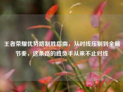王者荣耀优势路制胜指南，从对线压制到全局节奏，这条路的胜负手从来不止对线