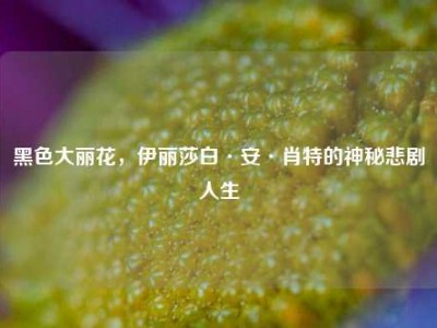 黑色大丽花，伊丽莎白·安·肖特的神秘悲剧人生