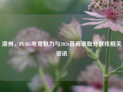 漳州，PUBG电竞魅力与2026普高录取分数线相关资讯
