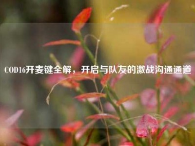 COD16开麦键全解，开启与队友的激战沟通通道