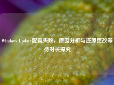 Windows Update配置失败，原因分析与还原更改等待时长探究