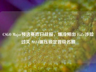 CSGO Major预选赛昨日战报，爆冷频出 FaZe涉险过关 NAVI碾压锁定晋级名额